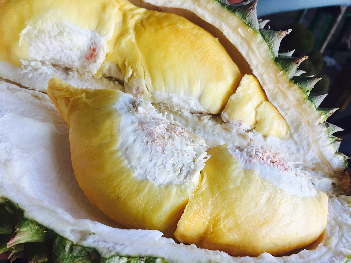 durian