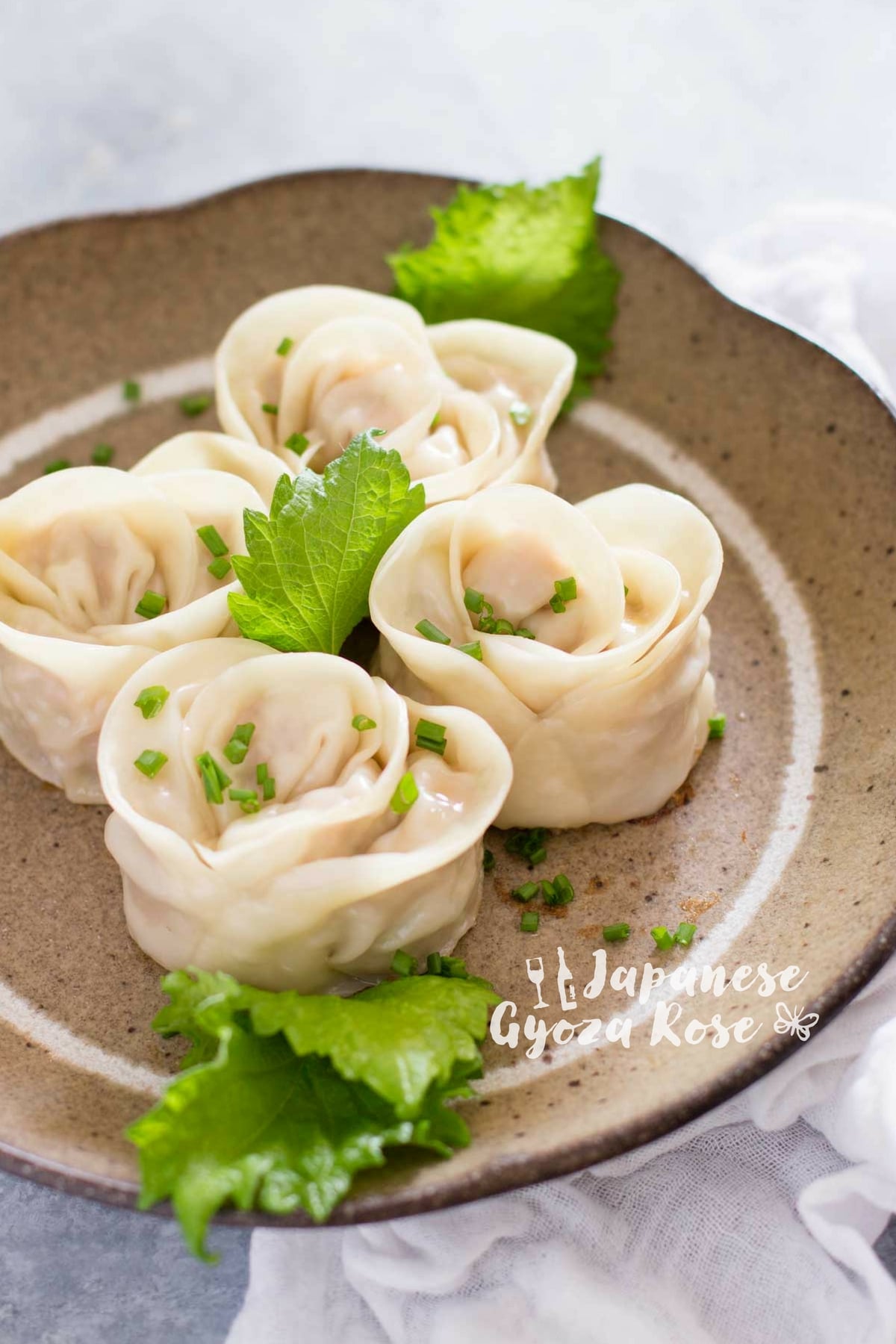 Japanese-GyozaRose