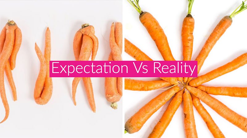 reality