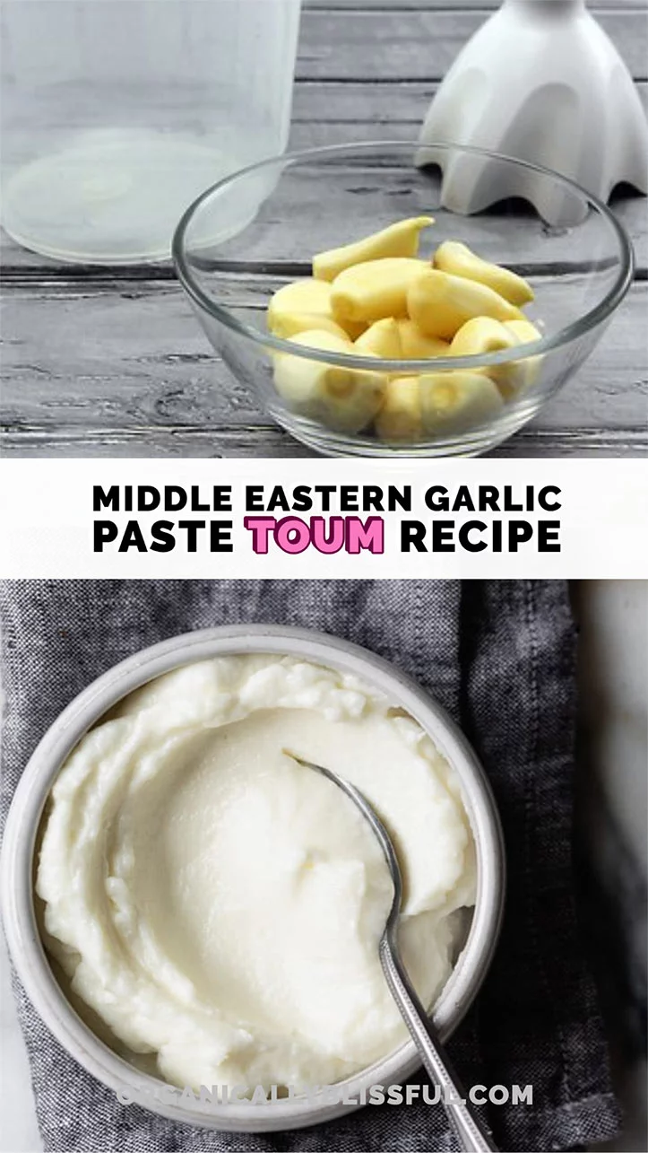 Garlic Paste Toum Recipe
