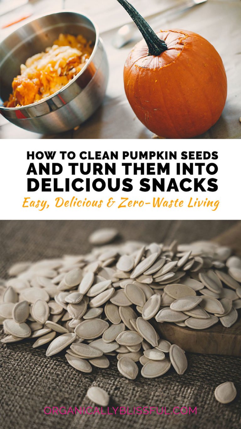 How To Clean Pumpkin Seeds And Turn Them Into Delicious Snack Organically Blissful