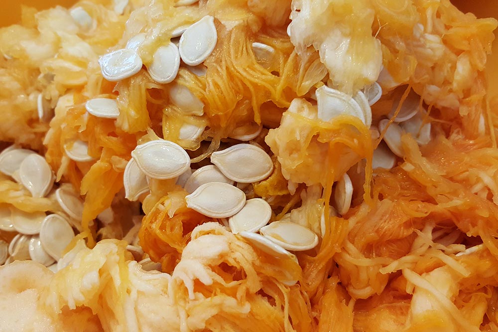 How To Clean Pumpkin Seeds