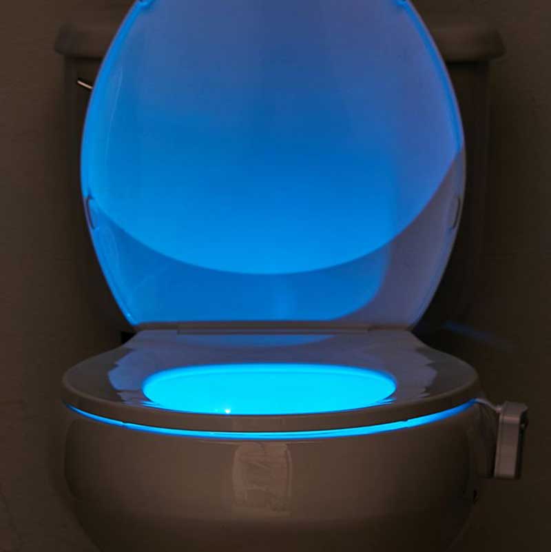 toilet