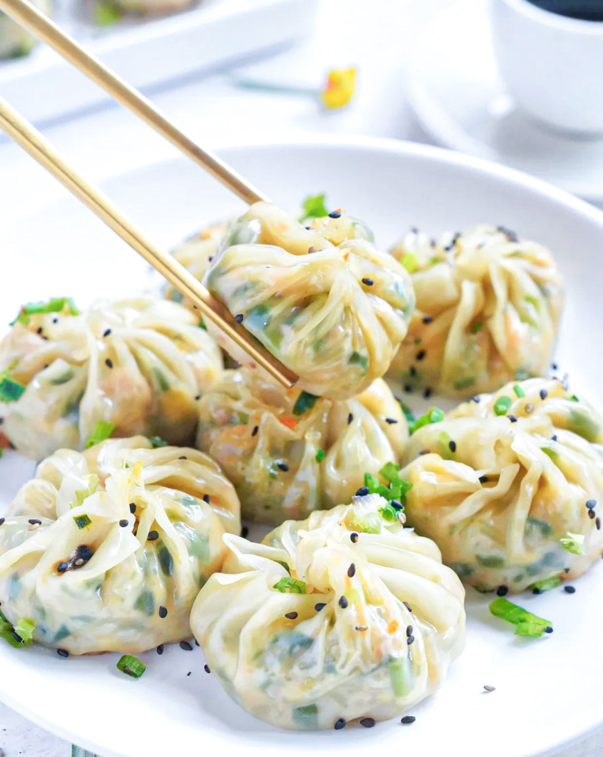 Sheng Jian Bao: Pan-fried Vegetable Buns - Organically Blissful