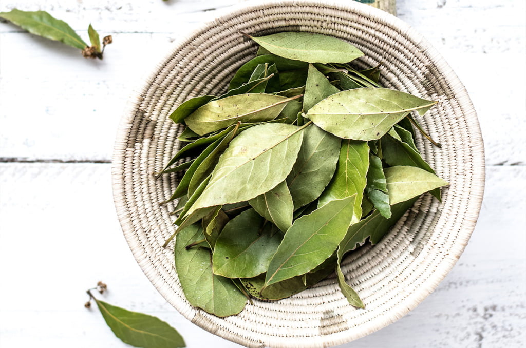 The Best Bay Leaf Substitute for Cooking Organically Blissful