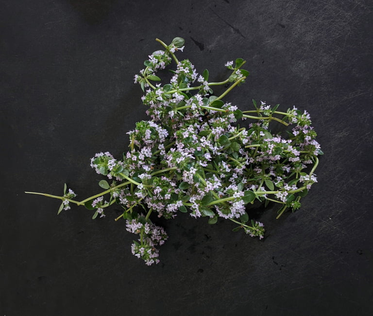 The Best Bay Leaf Substitute For Cooking Organically Blissful