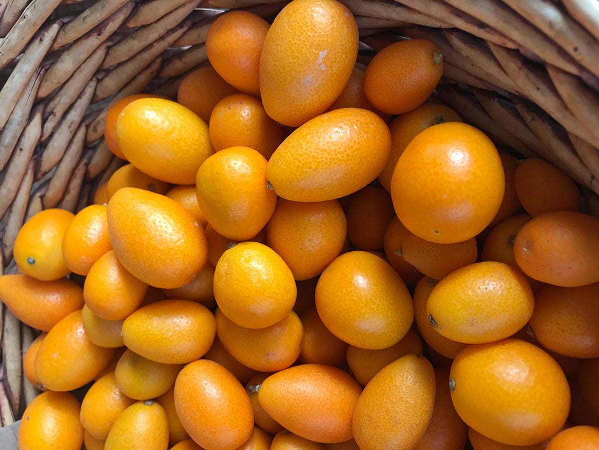 How to Eat Kumquat and Why You Should - Organically Blissful