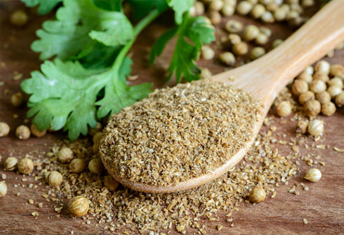 Best Coriander Substitutes