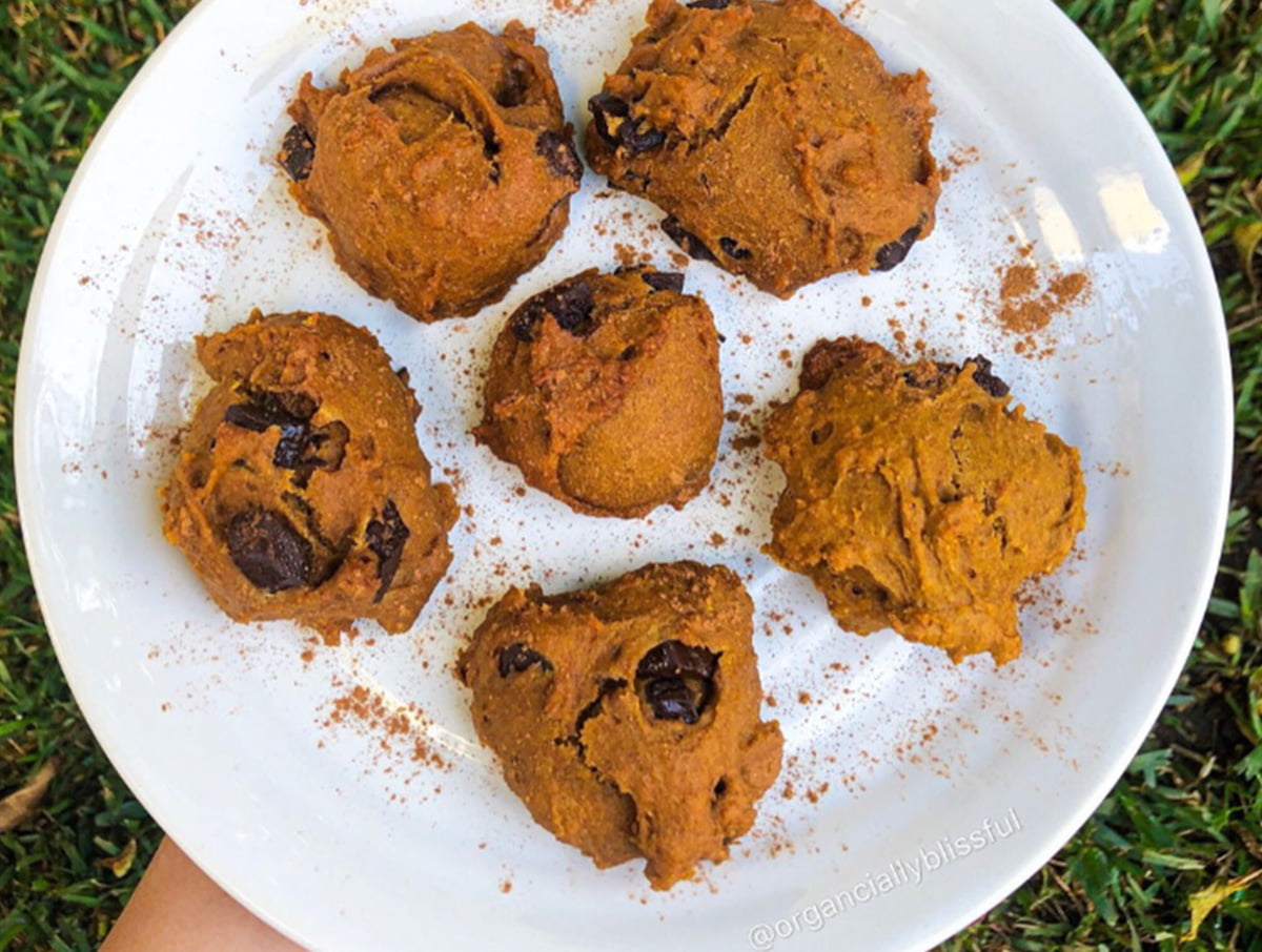 chocolate chip pumpkin cookies in a plate