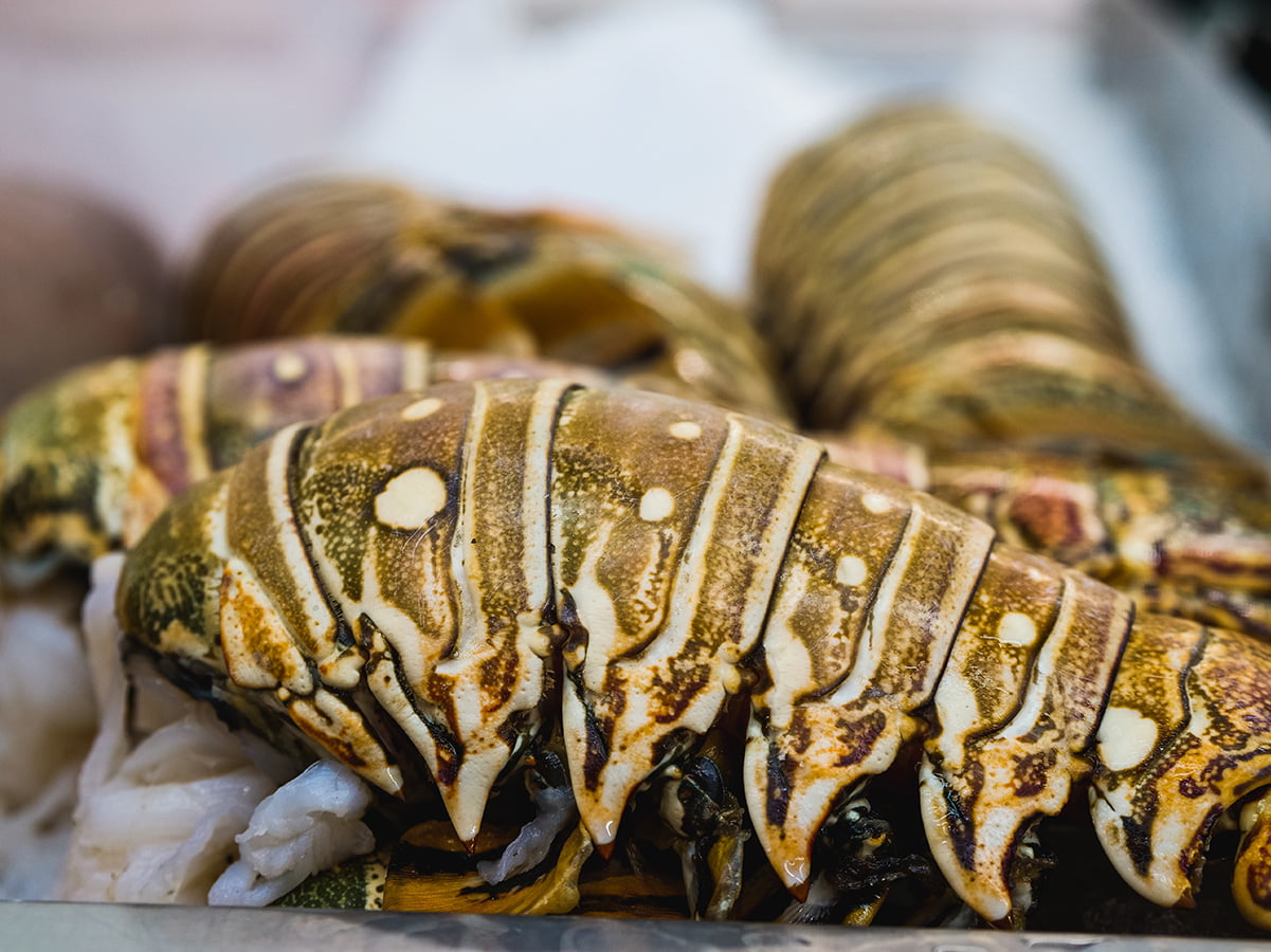 lobster tail