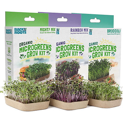 Back To The Roots DIY Microgreen Grow Kit