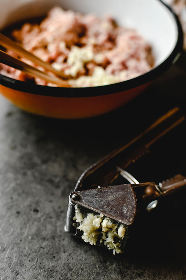 Silver Garlic Press closeup shot Silver Garlic Press closeup shot