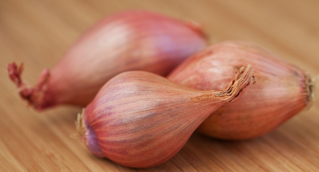 Shallot Substitute Options