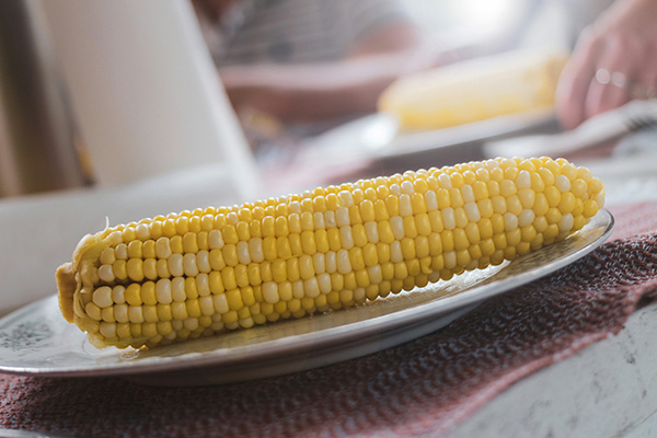Corn cob on a plate