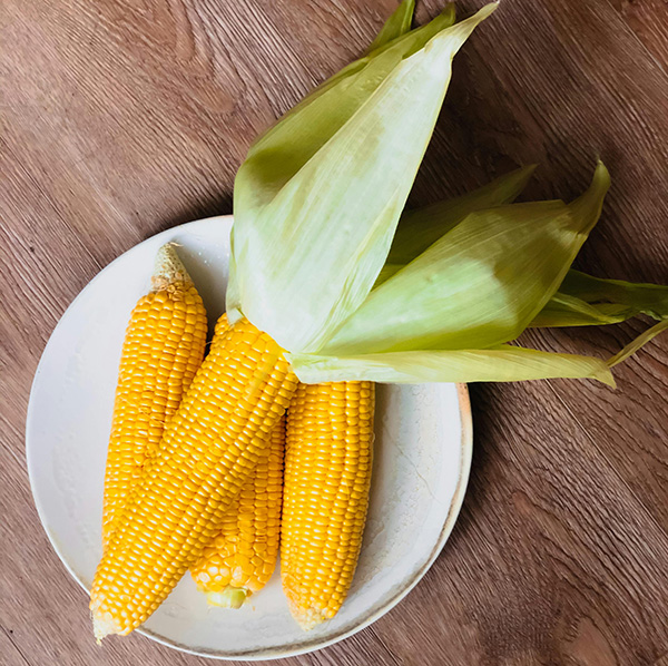 Corn on the cob on white plate